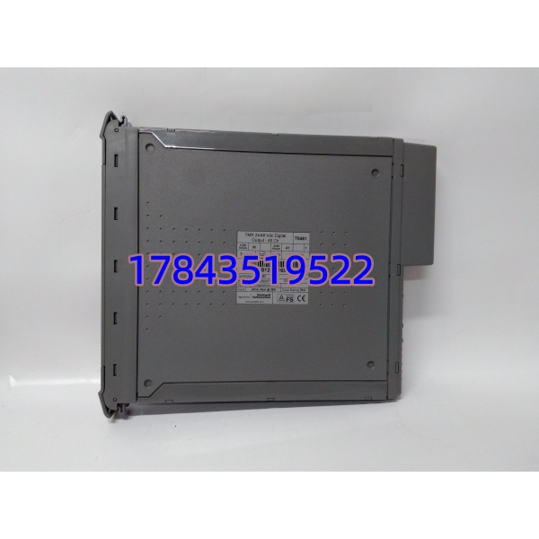 ICS Triplex T8461 | TMR 三重冗余数字输出模块 - 图片 3