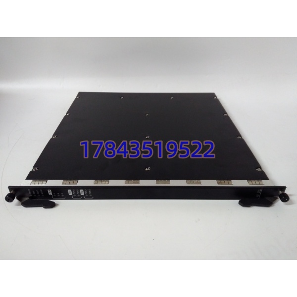 Triconex AI3281-A-V001 | TMR 三重冗余 SIS 安全模拟量输入模块 - 图片 2