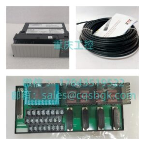 RELIANCE 0-60010-E | 模拟量输出卡
