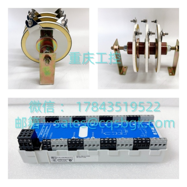 YOKOGAWA 16137-151 | 数字量输入模块 - 图片 2