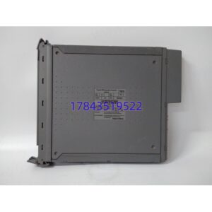 ICS TRIPLEX T8310 | 扩展处理器模块