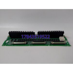 GE IS200TBCIS2CCD | 干接点端子板