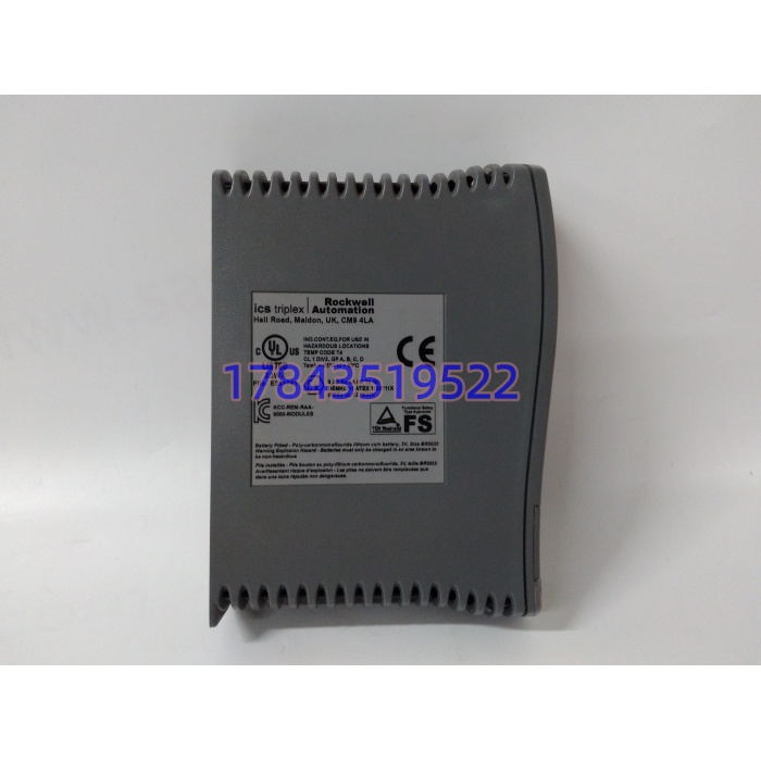 ICS Triplex T9110 | 机架插入式安全模块 - 图片 2