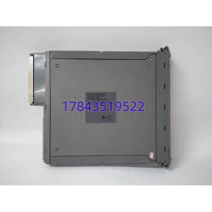 ICS Triplex T8461 | 数字输出模块 - 图片 3