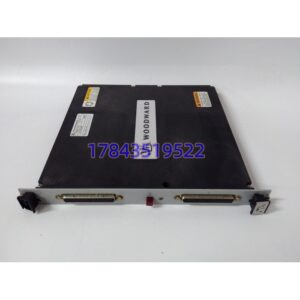 伍德沃德 5466-316 | MicroNet 高密度模拟组合模块