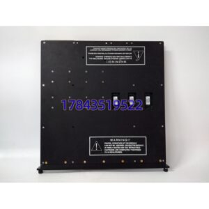 Triconex 3604E | 16 通道 24VDC 输出模块