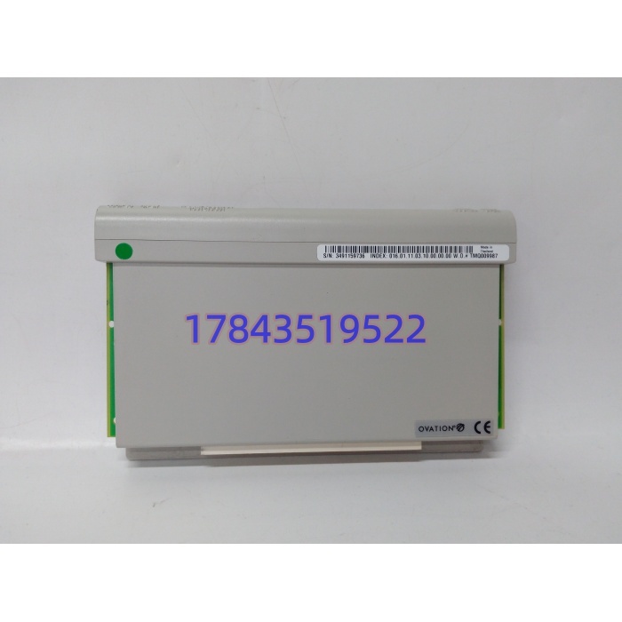 Emerson 1C31219G01 | 西屋 DCS 开关量输出卡件