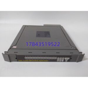 ICS Triplex T8461 | 数字输出模块