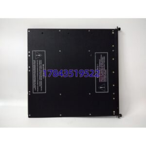 Triconex 3721 | 差分模拟量输入模块
