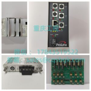 B&R 2DS100.60‑1 | 电子凸轮序列模块