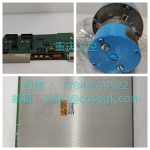 TRICONEX 4119A | 智能通信模块