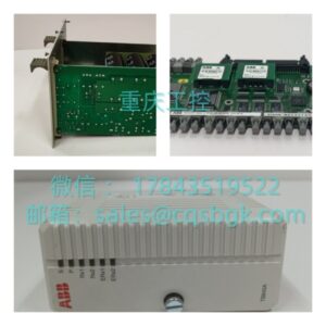 TRICONEX 4107 | 智能扩展通信模块