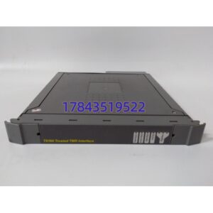 ICS Triplex T8160 | TMR 接口模块