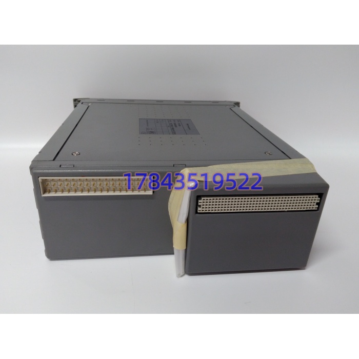 ICS Triplex T8110B | Trusted 处理器模块