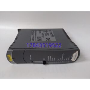 ICS Triplex T9110 | 机架插入式安全模块