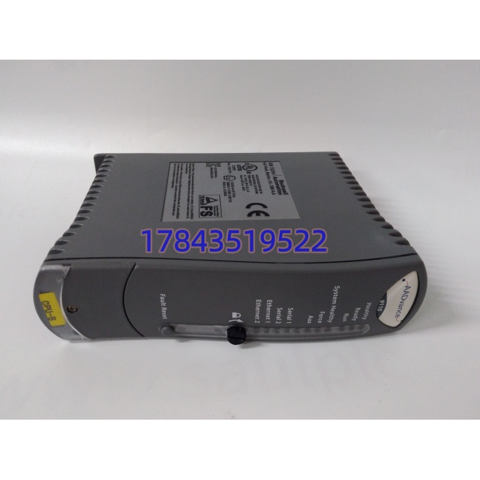 ICS Triplex T9110 | 机架插入式安全模块