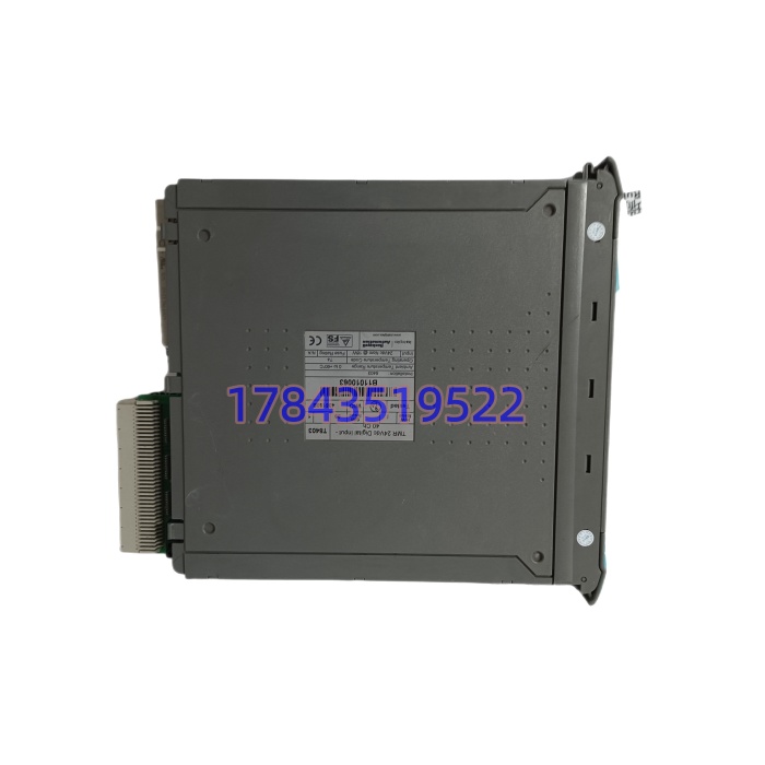 ICS TRIPLEX T8403 | Trusted TMR 24VDC 数字量输入模块